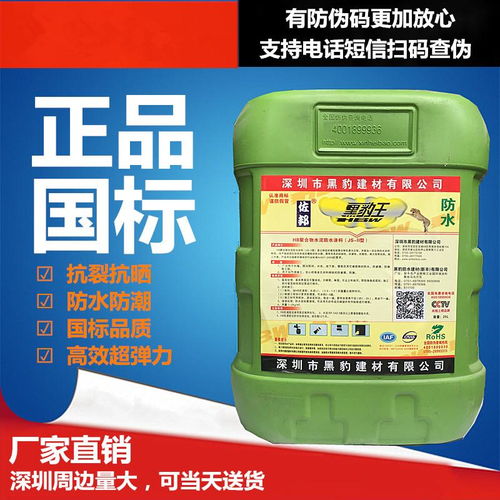 瑞智黑豹JS防水涂料 廚房、衛生間、水池及泳池防潮防漏的環保解決方案