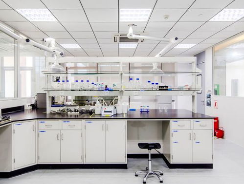 引領綠色未來 以開拓創新與專業服務，鑄就質量至上的環保咨詢新標桿